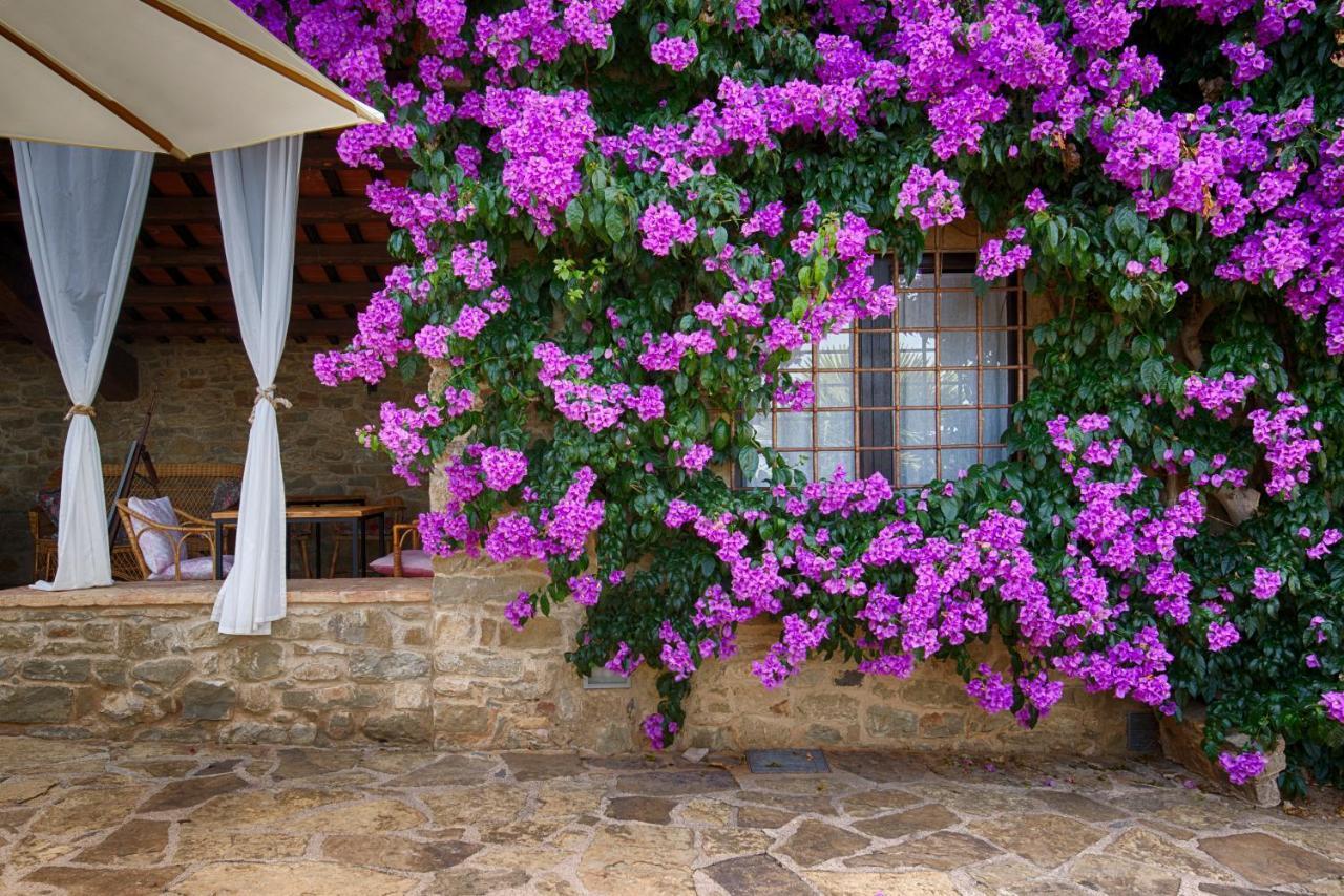 Masia Can Pou Canet de Adri Dış mekan fotoğraf